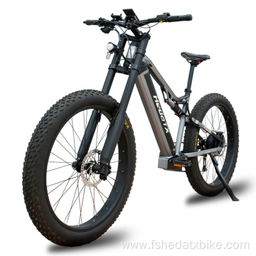 Large Electric Fat Tire Bike